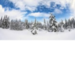 snowy skies and pies