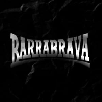 BRAVE BARS I ORGANIZED