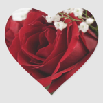 Beautiful roses :)