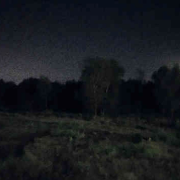 The Night...