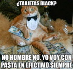 fans de de kitty