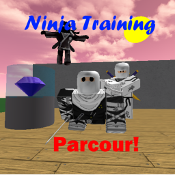 Gaming Studio's™ Ninja Training parcour
