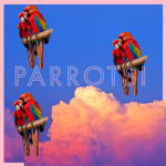 Parrot Squad / Army!
