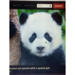 Panda fans and adopt me fans