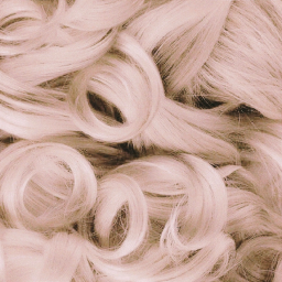 ꒰♡꒱