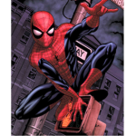 *~ SPIDER-MAN FANs~*