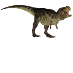Dino creators