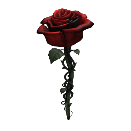 Red Rose 