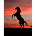 Free Reins