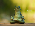 zen family member group