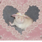 Pink Ratsss