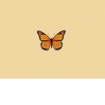 ʚĭɞButterflyʚĭɞ