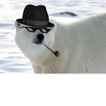 MLG Scrub bears