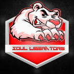 Sould Liberators