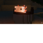 Marcus's Axolotl Fan Group