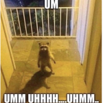 um umm uhhhh....uhmm..