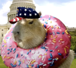 Carpaybara