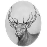 Wapiti Trade Caravan