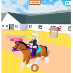 Zoe's Riding Club