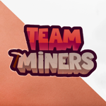 TeamMiner