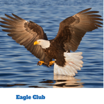 The Epic Eagle Club