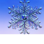 The snowflake squad!