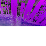 GoatedGames21