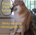 Puppy pack gamers