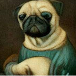 Pugmoria Asylum