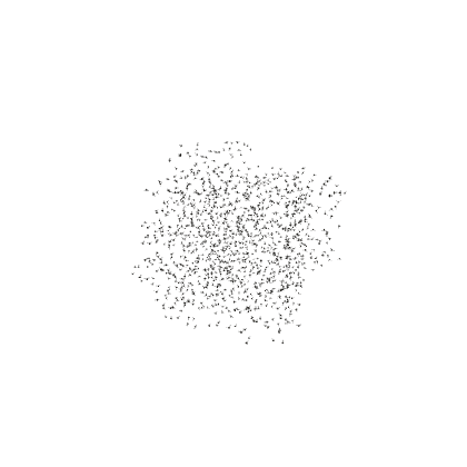 Midge Swarm