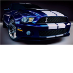 car lovers of the world