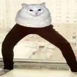 Jeffy Lives