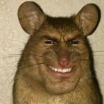 A Couple of Rats Incorporated