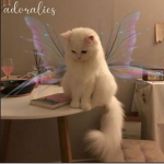 - adoralies -
