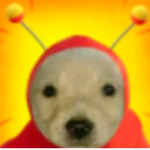 鬼魂