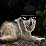 The Light/Dark Wolfs