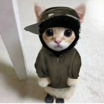 Klutia$