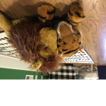 Lions and tigers.