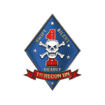 FORCE Co. 1st Recon Bn