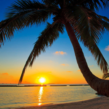 Starti International Airport (On Progess)