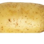 FAT potato
