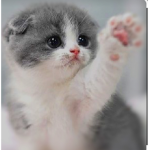 kindness is love