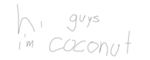Coconut Interactive