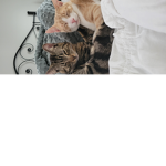 Kitten stars
