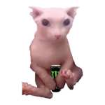 weird clannn