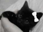 ANGELOXO<33