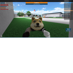 The F1 Doges