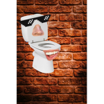 my friends toilet
