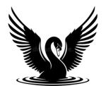 Black*Swan