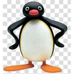 PENGUIN GANG!!!